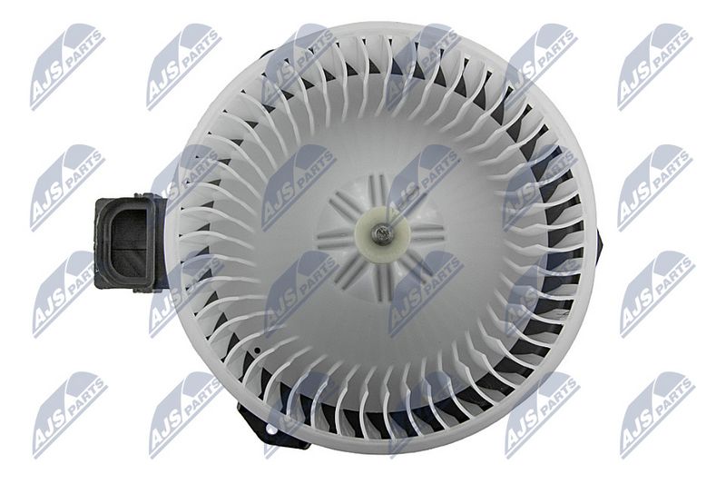 Salongipuhur, NTY EWN-FR-004