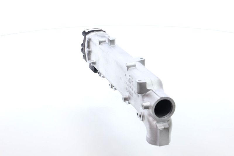 REMANTE 010-001-000003R EGR Module