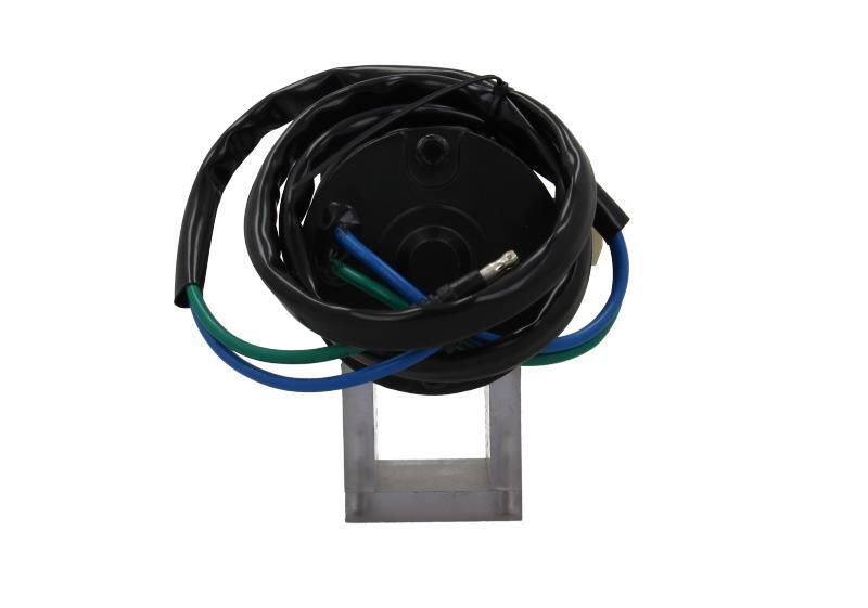 BV PSH 350.558.000.200 Electric Motor