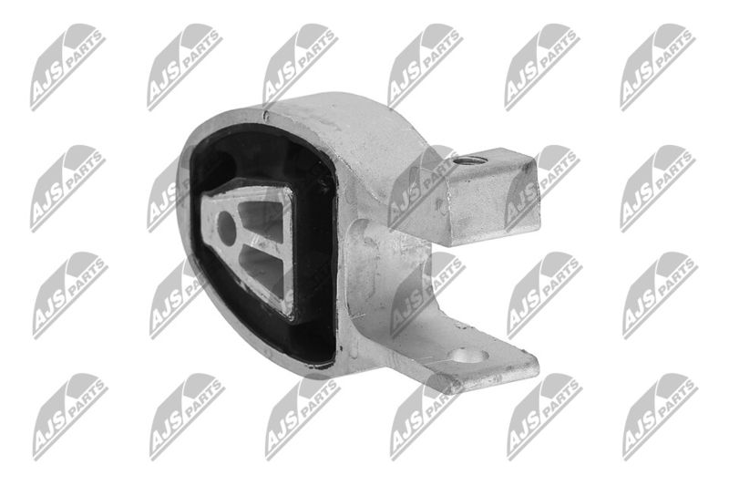 Paigutus, Mootor, NTY ZPS-FR-010