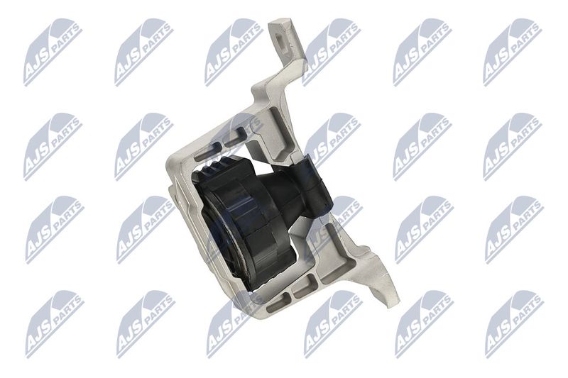 Paigutus, Mootor, NTY ZPS-FR-020