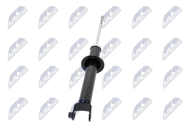 Amort, NTY A-CH-054