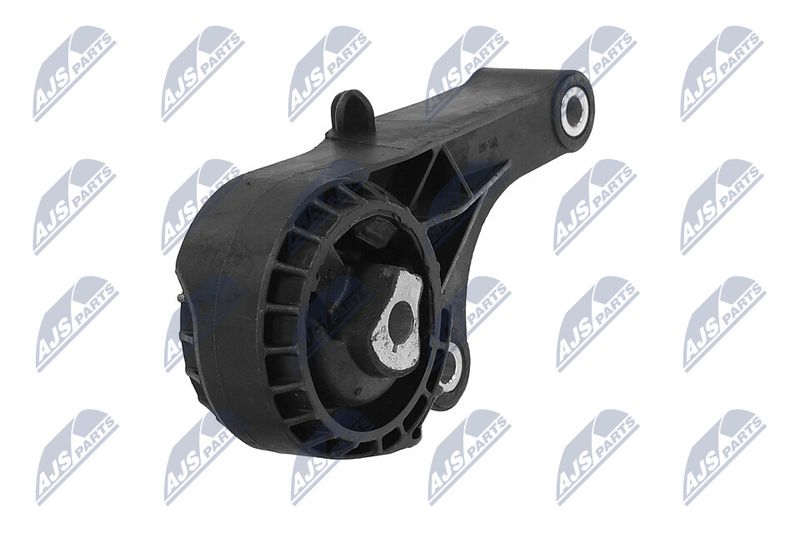Paigutus, Mootor, NTY ZPS-PL-057