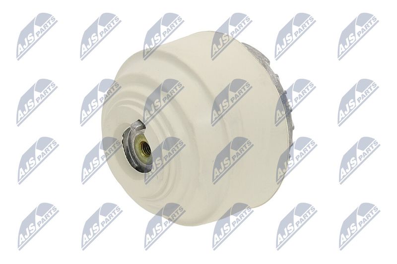 Paigutus, Mootor, NTY ZPS-ME-102