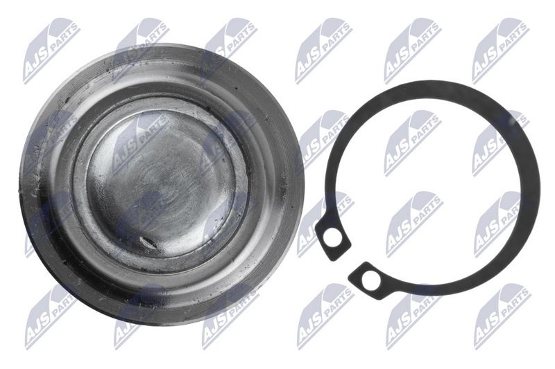 Kande-, juhtliigend, NTY ZSD-RE-011