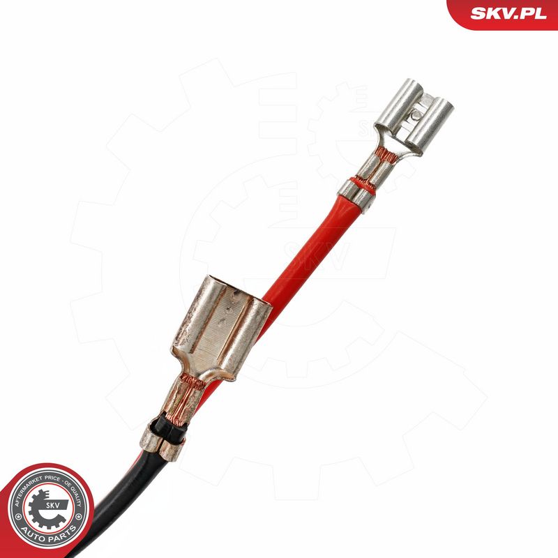 Salongipuhur, ESEN SKV...