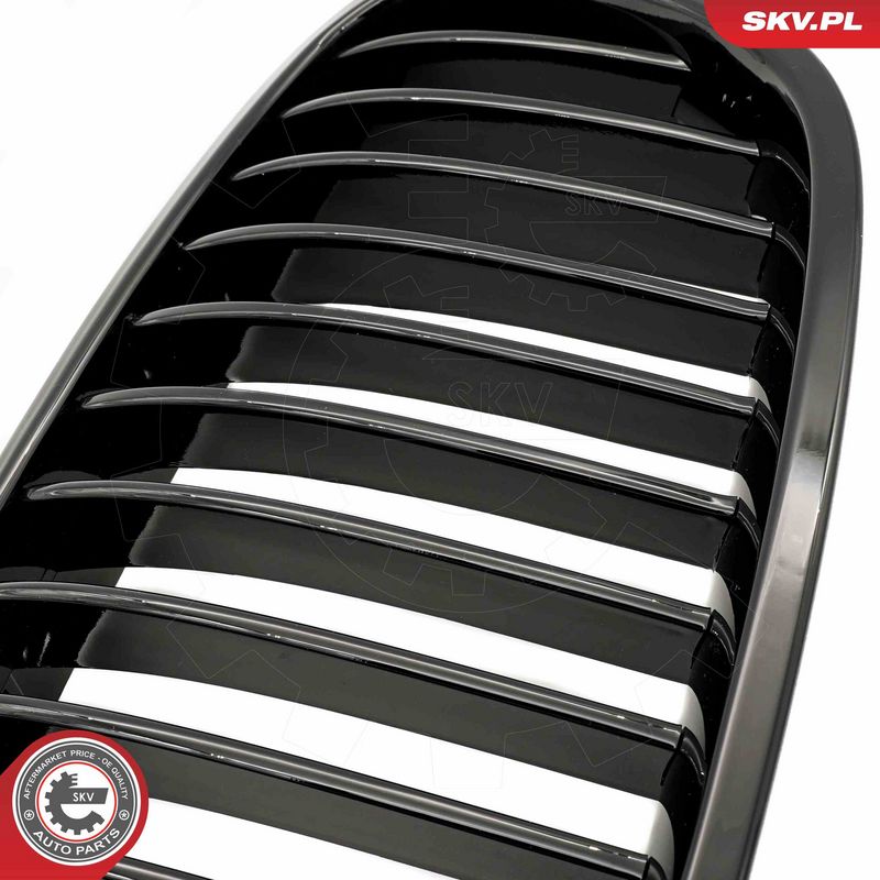 Radiaatorivõre, ESEN SKV 66SKV179