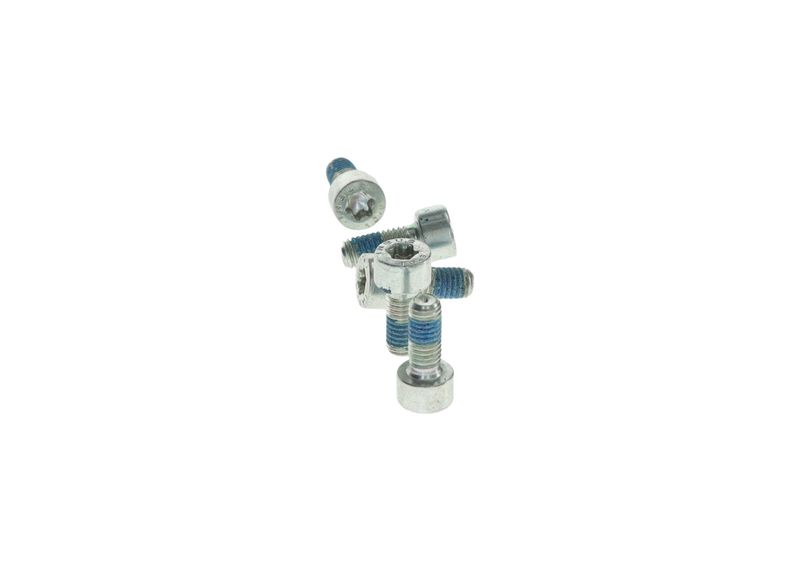Surub 2 914 558 181 BOSCH