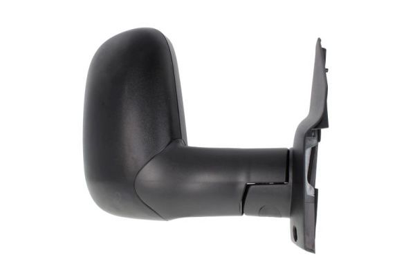 BLIC 5402-03-2001318P Exterior Mirror