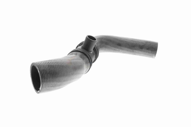 VAICO V48-0136 Frankberg Radiator Hose