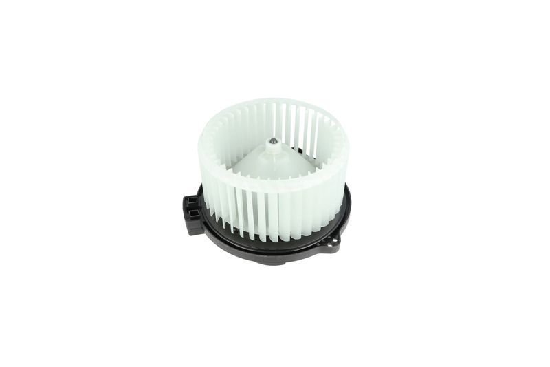 Salongipuhur, NRF 34329