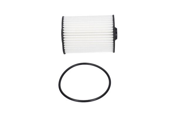Kavo Parts FOF-10026 Oil Filter