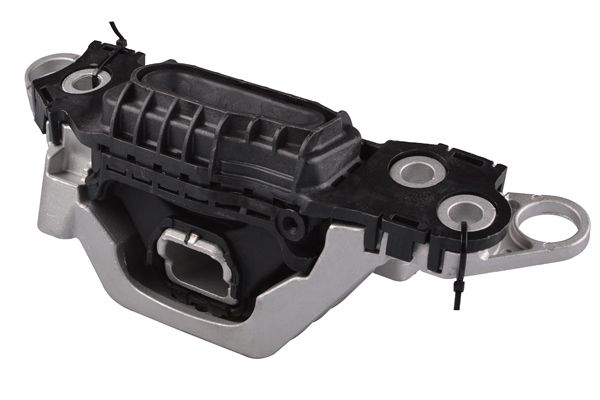 TEDGUM TED24415 Mounting, engine