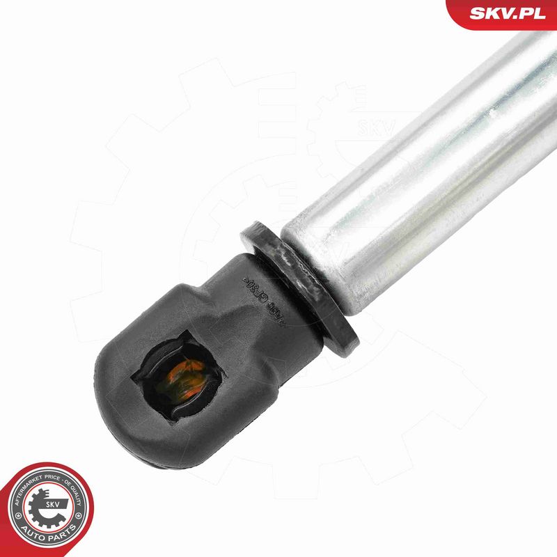 ESEN SKV 52SKV291 Electric Motor, tailgate
