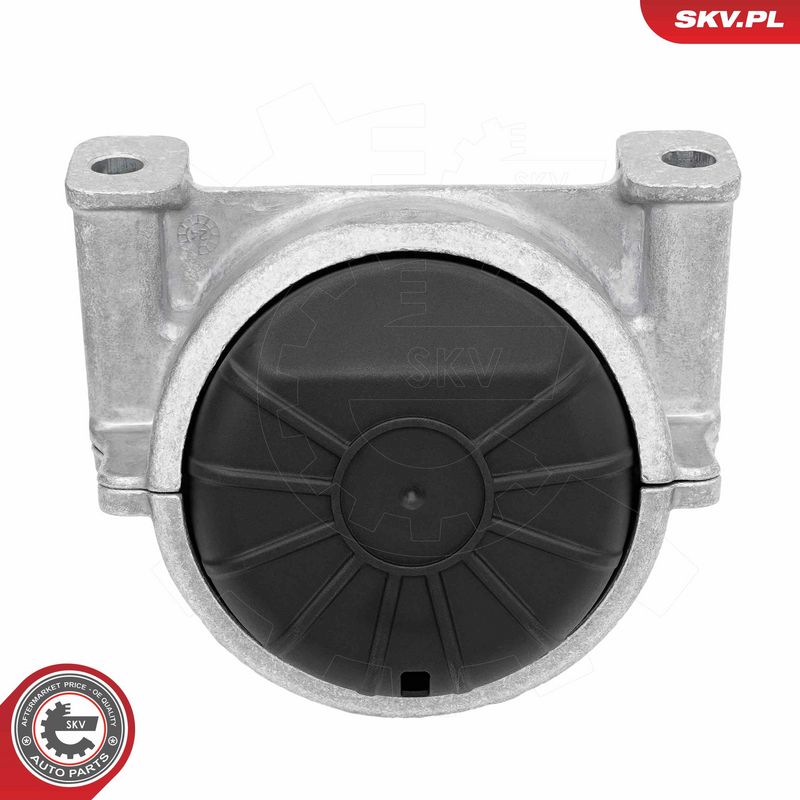 Paigutus, Mootor, ESEN SKV 75SKV171