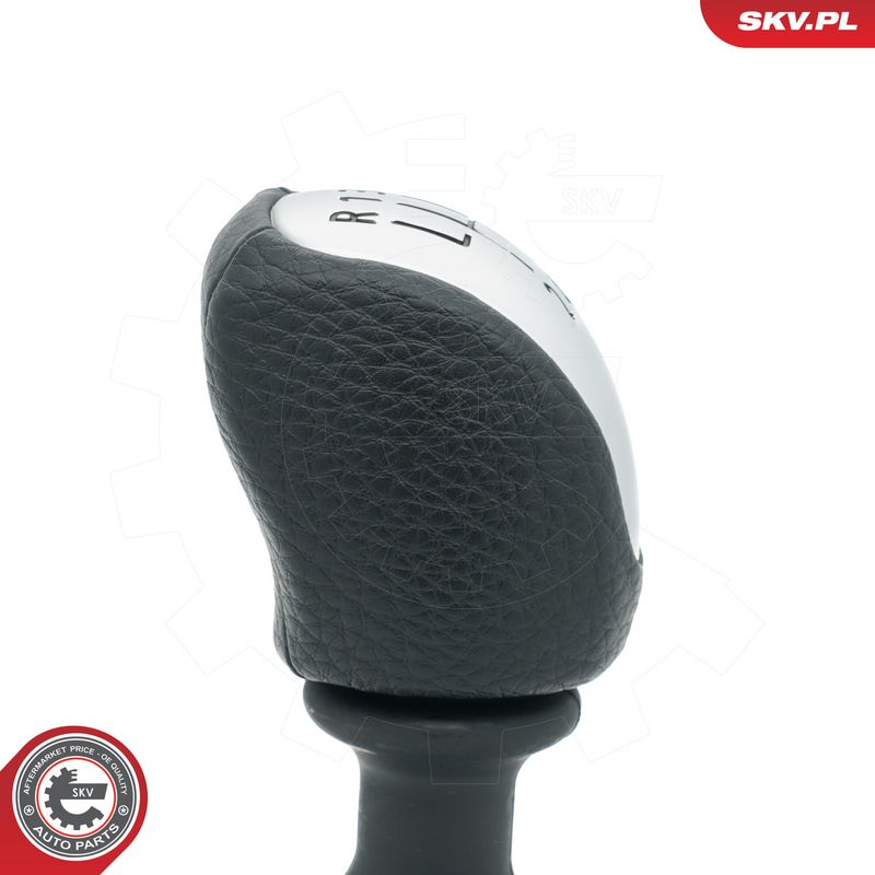 Käigukanginupp, ESEN SKV 63SKV507