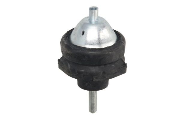 REINHOCH RH11-3063 Mounting, engine