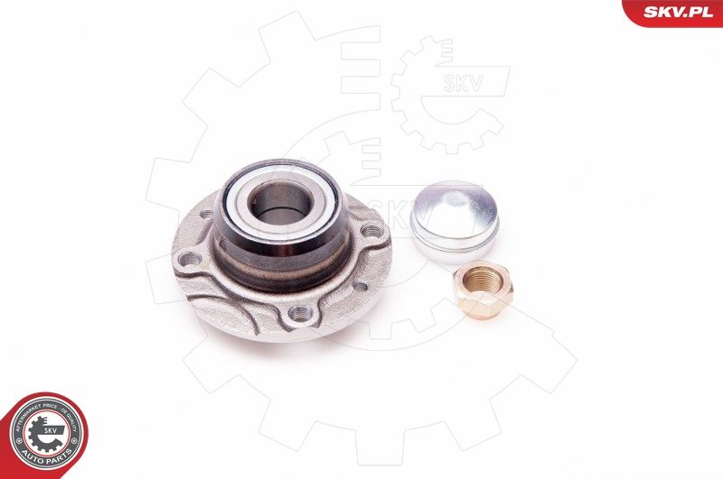 ESEN SKV 29SKV022 Wheel Bearing Kit