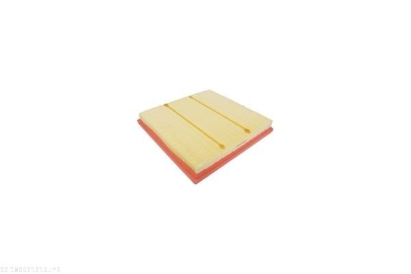 AUTOMEGA 180021210 Air Filter
