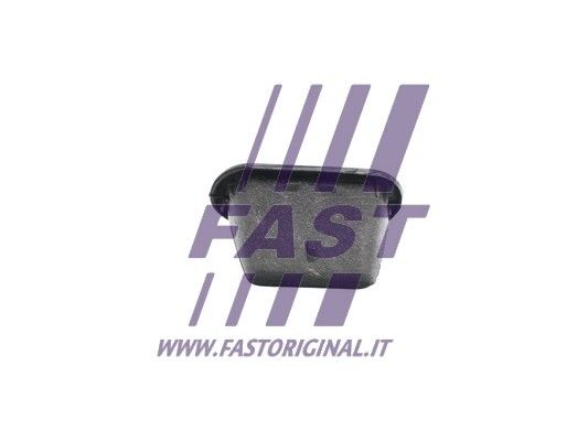 FT95203_2_1.JPG