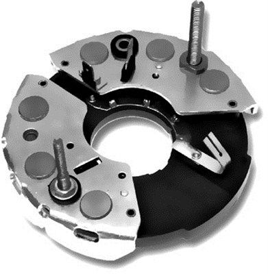 DDF_AMP1638_WR.JPG