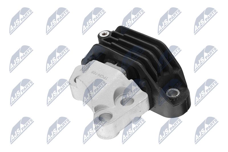 Paigutus, Mootor, NTY ZPS-CH-165