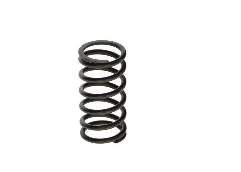 BOSCH F00N201853 Spring