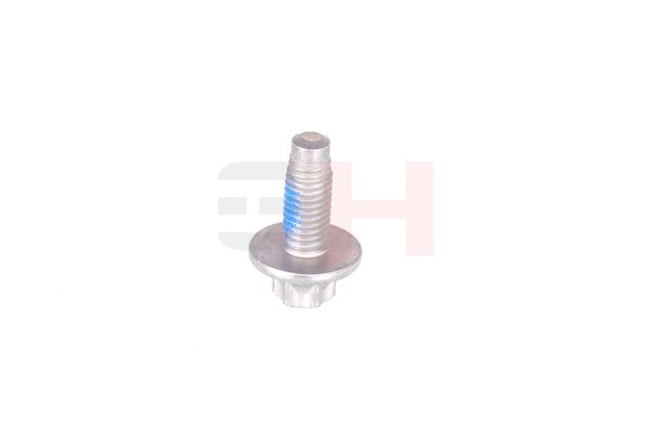 Vedruamordi tugilaager, GH GH-393311