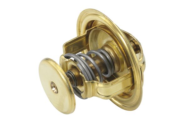 BorgWarner (Wahler) 4022.74 Thermostat, coolant