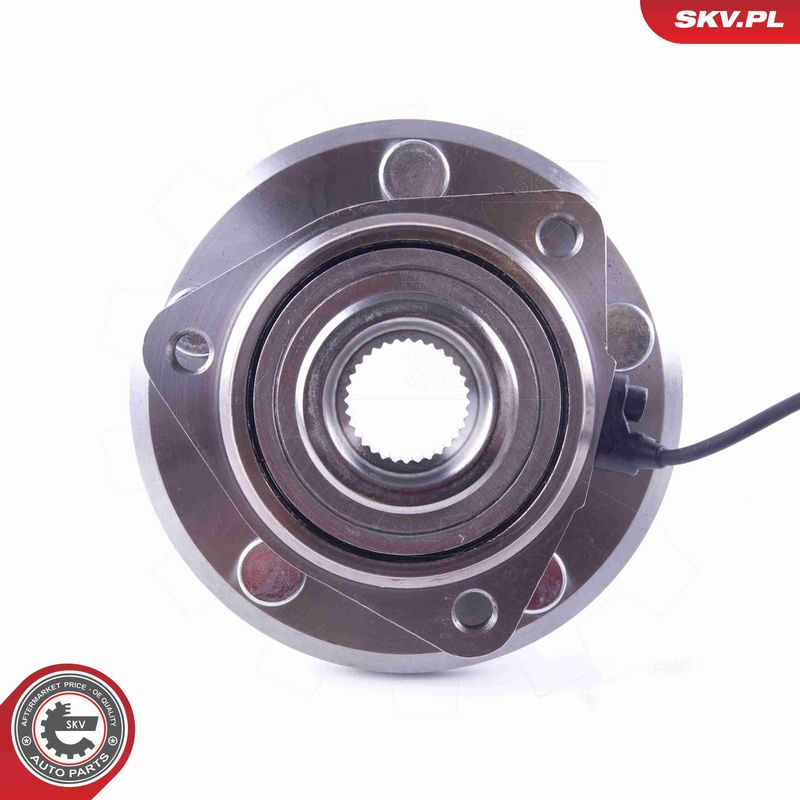 ESEN SKV 29SKV398 Wheel Bearing Kit