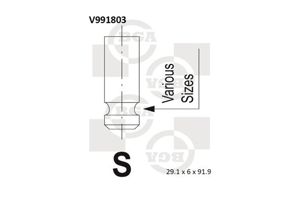 Впускний клапан, Bg Automotive V991803