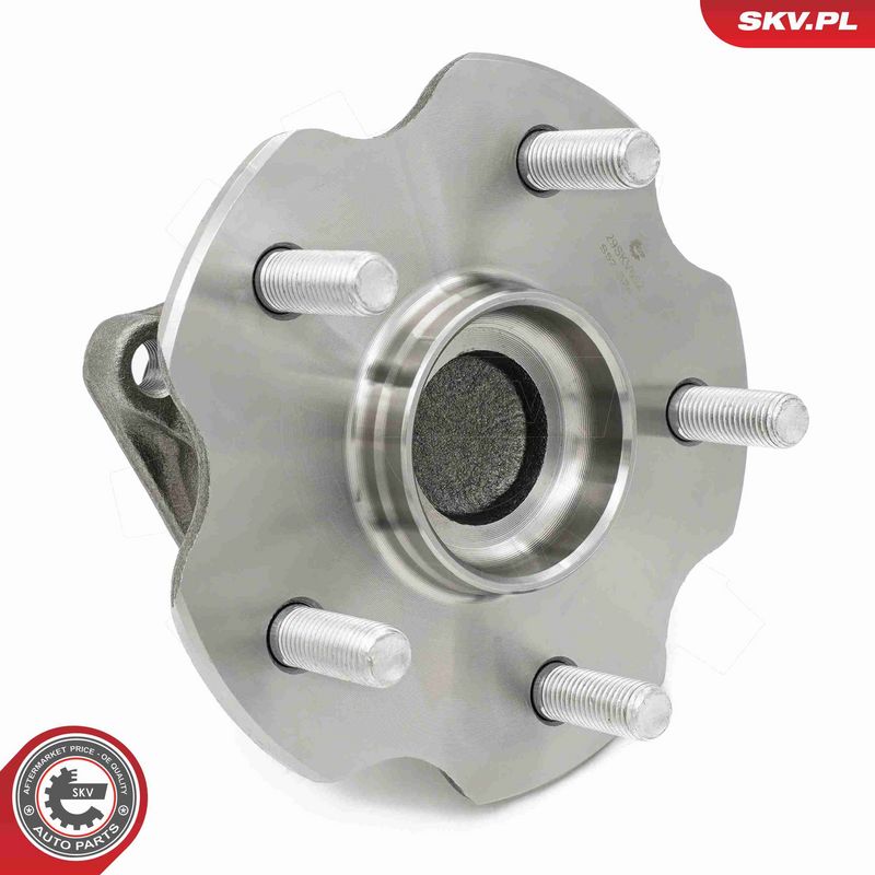 ESEN SKV 29SKV662 Wheel Bearing Kit