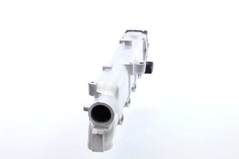 REMANTE 010-001-000003R EGR Module