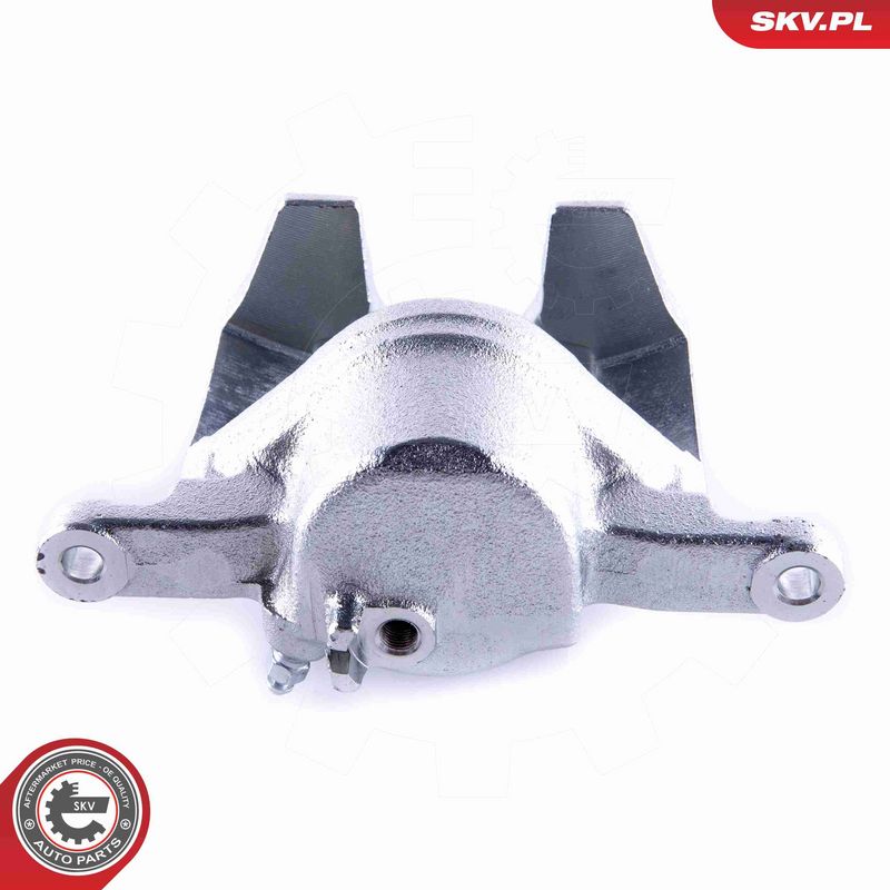 ESEN SKV 55SKV242 Brake Caliper