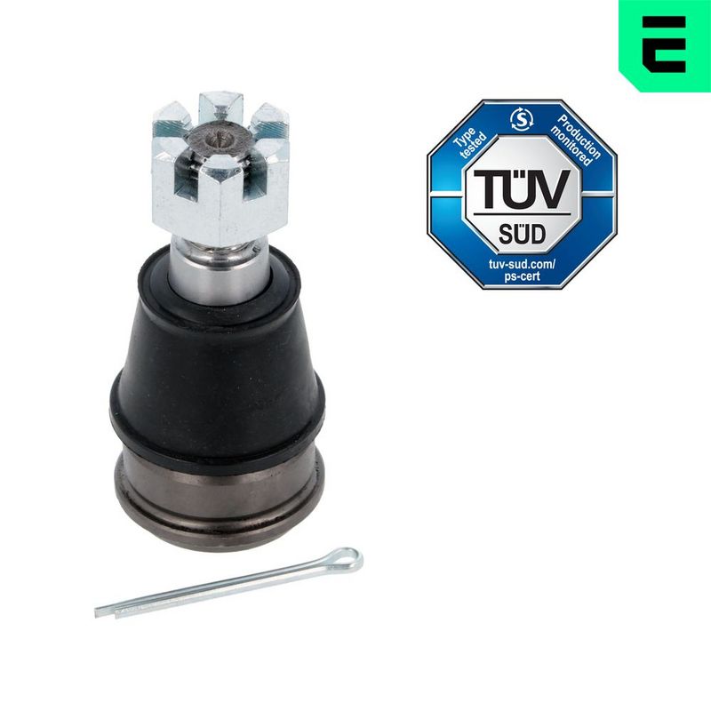 Kande-, juhtliigend,...