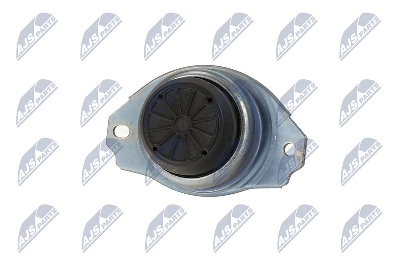 Paigutus, Mootor, NTY ZPS-LR-019