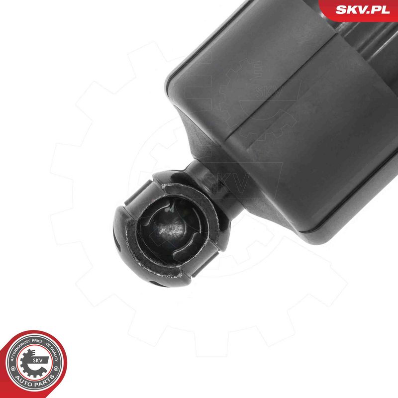 ESEN SKV 52SKV226 Electric Motor, tailgate
