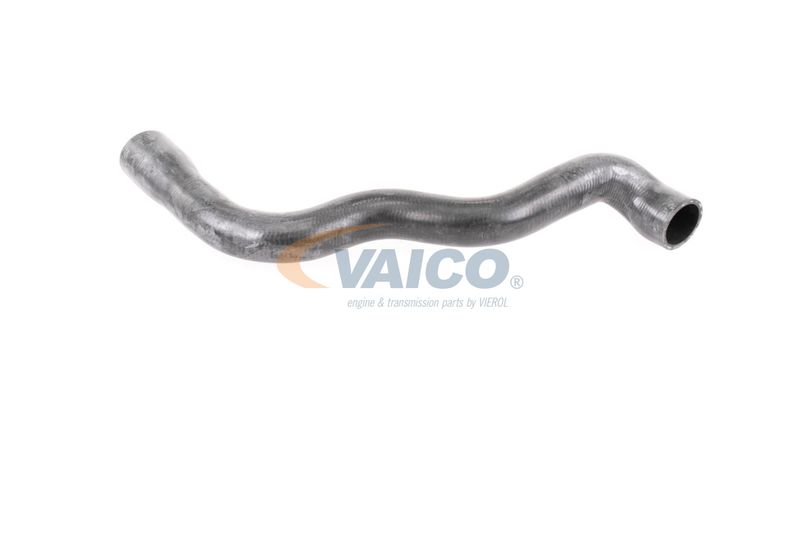 VAICO V30-2915 Radiator Hose
