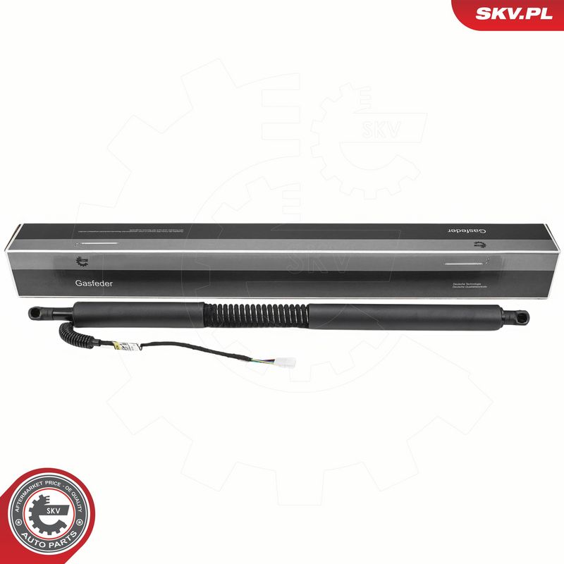 Elektrimootor, tagaluuk, ESEN SKV 52SKV981