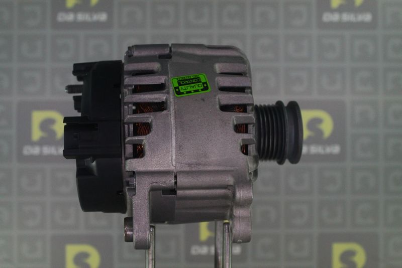 DA SILVA 012112 Alternator