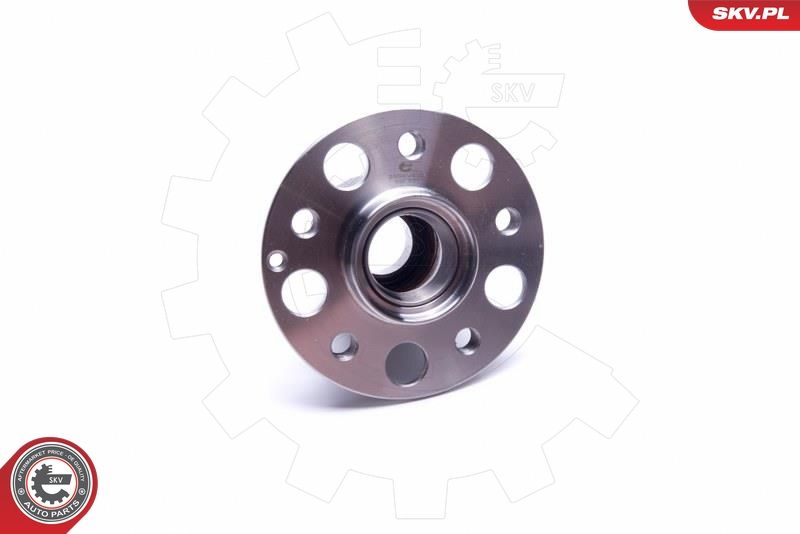 ESEN SKV 29SKV423 Wheel Bearing Kit