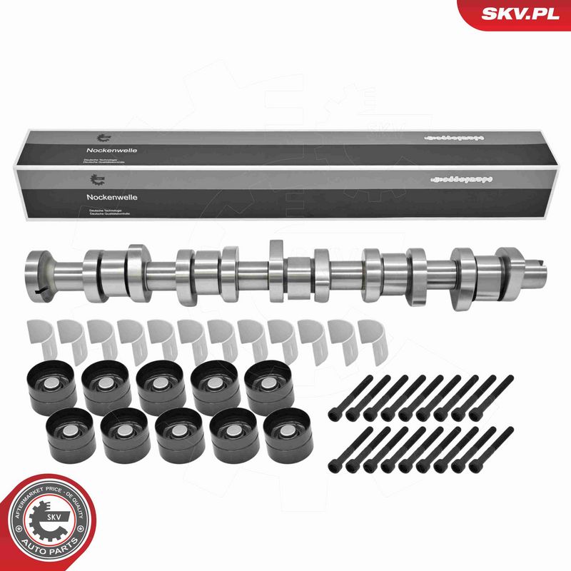 ESEN SKV 80SKV305 Camshaft Kit