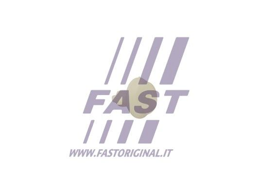 FT96311_2_1.JPG