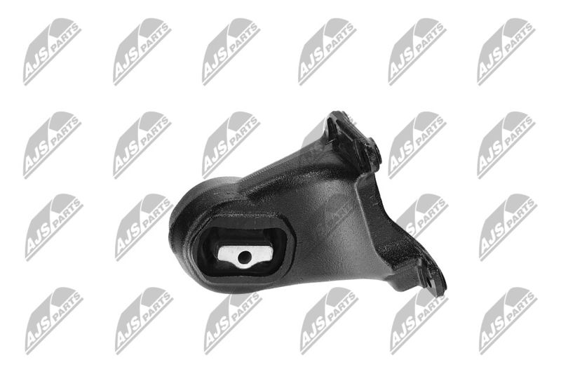 Paigutus, Mootor, NTY ZPS-CH-173