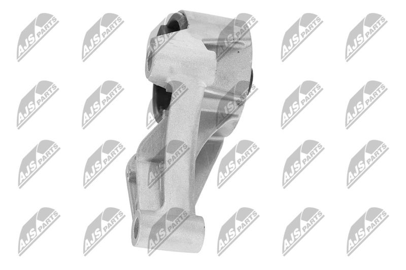 Paigutus, Mootor, NTY ZPS-PL-069
