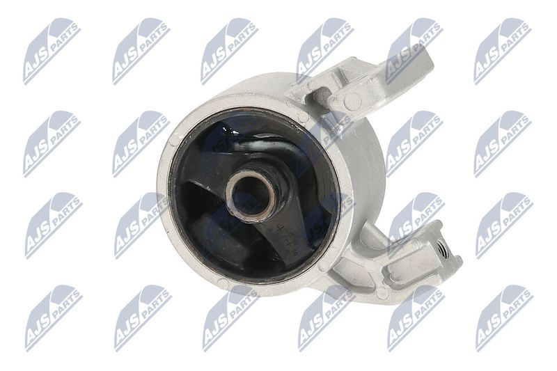 Paigutus, Mootor, NTY ZPS-KA-318