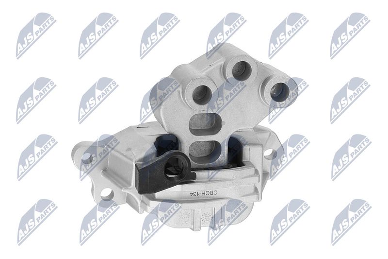 Paigutus, Mootor, NTY ZPS-CH-134