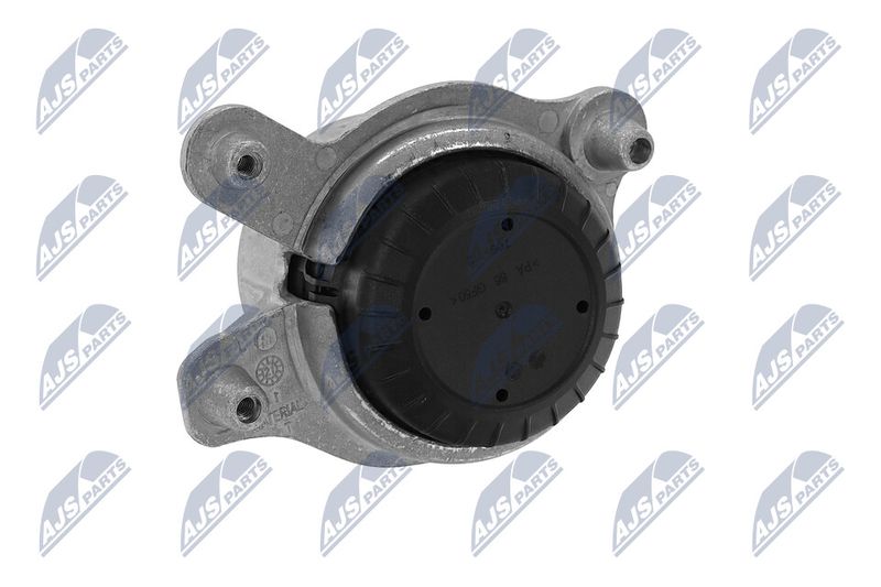 Paigutus, Mootor, NTY ZPS-ME-046