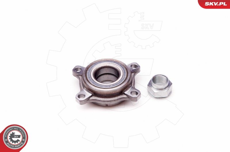 ESEN SKV 29SKV138 Wheel Bearing Kit