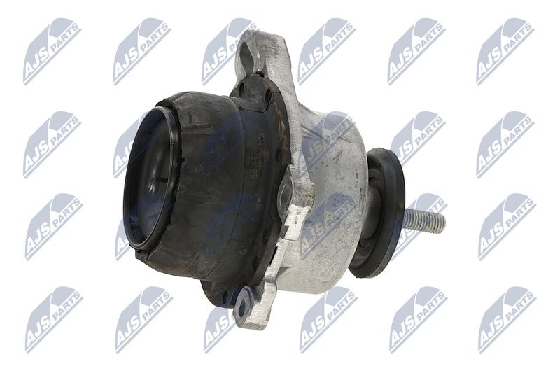 Paigutus, Mootor, NTY ZPS-FR-013